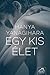 Egy kis élet by Hanya Yanagihara Egy kis élet by Hanya Yanagihara