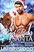 Bad Bear Santa (Bad Boy Bear Shifters, #1)