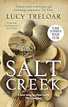 Salt Creek by Lucy Treloar