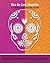Dia de Los Muertos: A Famil...