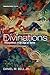Divinations: Theopolitics i...