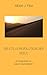 Die Stille Revolution der Seele by Albert J. Fike