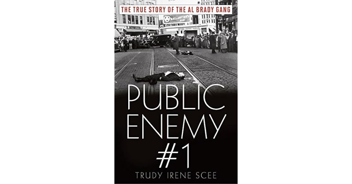 Public Enemy Number One Book