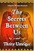 The Secrets Between Us