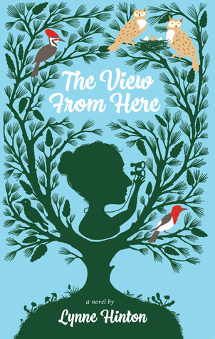 The View From Here (Hardcover)