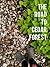 The Road to Cedar Forest: A...