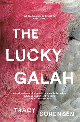 The Lucky Galah (Paperback)