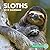 Sloths Wall Calendar 2018