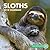 Sloths Wall Calendar 2018 by The Sloth Conservation Foun...