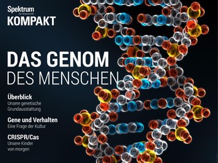 Spektrum Kompakt: Das Genom des Menschen (Kindle Edition)