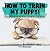How To Train My Puppy! | Puppy Care Book for Kids | Children's Dog Books