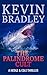 The Palindrome Cult (Hedge & Cole, #1)