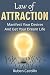 Law of Attraction by Rubén Castillo