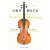 The Art of Violin Making