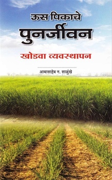 ऊस पिकाचे पुनर्जीवन खोडवा व्यवस्थापन | Uus Pikache punarjivan khodava vyavasthapan