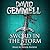 Sword in the Storm (The Rigante, #1)