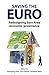 Saving the Euro: Redesignin...