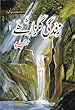 Image for Zindagi Gulzar Hai/زندگی گلزار ہے