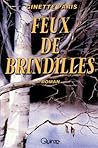 Feux de brindilles