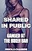Ganged at the Biker Bar (Sh...
