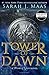Tower of Dawn (Throne of Glass, #6)