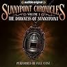 The Darkness of Sunnypoint by Shelley Scarrow