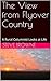 The View from Flyover Country by Steve Browne