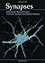 Synapses
