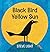 Black Bird Yellow Sun