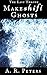 Makeshift Ghosts