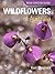 Wildflowers of Australia by Ken Stepnell