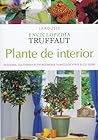 Plante de interior