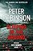 Sleeping in the Ground (Inspector Banks, #24)