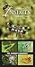 A Field Guide to Insects of the Pacific Northwest by Dr. Robert Cannings