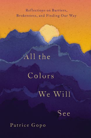 All the Colors We Will See: Reflections on Barriers, Brokenness, and Finding Our Way (Paperback)