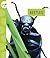 Beetles (Spot)