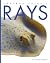 Rays (Amazing Animals)