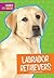 Labrador Retrievers (Favorite Dog Breeds)