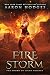 Firestorm (The Sword of Lig...