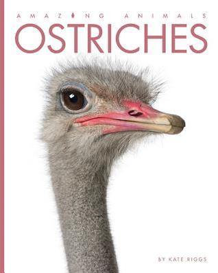 Ostriches (Amazing Animals)