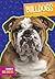 Bulldogs (Favorite Dog Breeds)