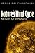 Nature's Third Cycle: A Story of Sunspots