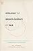 Repairing the Broken Surface of Talk: Managing Problems in Speaking, Hearing, and Understanding in Conversation (Foundations of Human Interaction)