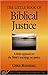 The Little Book of Biblical Justice: A Fresh Approach to the Bible's Teaching on Justice (The Little Books of Justice and Peacebuilding Series)