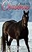 Black Hills Christmas (Blac...