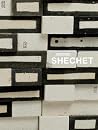Arlene Shechet: A...
