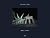 Stefano Cerio: Night Games