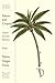 Sabers and Utopias: Visions of Latin America: Essays