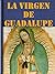 La Virgen de Guadalupe by Libro Móvil SL