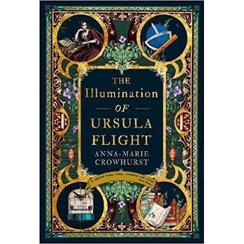 The Illumination Of Ursula Flight By Anna Marie Crowhurst The Illumination Of Ursula Flight By Anna Marie Crowhurst